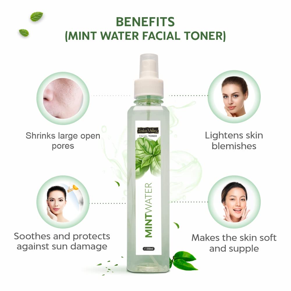 INDUS VALLEY Natural Mint Water Facial Toner - Chemical Free - 250 ml