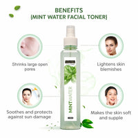 INDUS VALLEY Natural Mint Water Facial Toner - Chemical Free - 250 ml