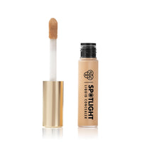 PAC Spotlight Liquid Concealer - 06 (Beige)