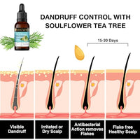 Soulflower Tea Tree Essential Oil for Skin, Hair, Face, Acne Care, Dandruff | Ecocert Certified Organic 100% Pure, Natural, Undiluted Therapeutic Grade | 15ml -
