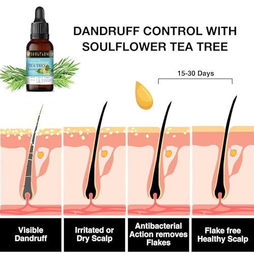 Soulflower Tea Tree Essential Oil for Skin, Hair, Face, Acne Care, Dandruff | Ecocert Certified Organic 100% Pure, Natural, Undiluted Therapeutic Grade | 15ml -
