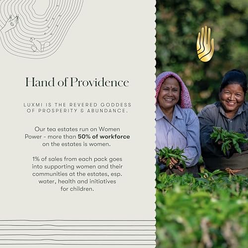 LUXMI Estates Sleep Tea With Valerian Root 50 gram Tin Pack, With Chamomile, Lavender & Valerian Root | Caffeine Free Tea Bags For Insomnia Anxiety & Stress Relief, Relaxation, Restful and Peaceful Sleep With Wellness Herbal Tea, 25 Cups