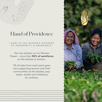 LUXMI Estates Sleep Tea With Valerian Root 50 gram Tin Pack, With Chamomile, Lavender & Valerian Root | Caffeine Free Tea Bags For Insomnia Anxiety & Stress Relief, Relaxation, Restful and Peaceful Sleep With Wellness Herbal Tea, 25 Cups