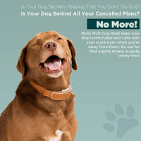 Molly Mutt Medium to Large Dog Bed Cover- Romeo & Juliet Print - Measures 27”X36”X5’’ - 100% Cotton - Durable - Breathable - Sustainable - Machine Washable Dog Bed Cover (Dd35Ab) Medium/Large Romeo & Juliet - New Version