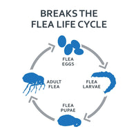 Fiproguard Flea & Tick Squeeze-On for Dogs Upto 22 lbs, 6-PACK Up to 22-Pound 6-Month