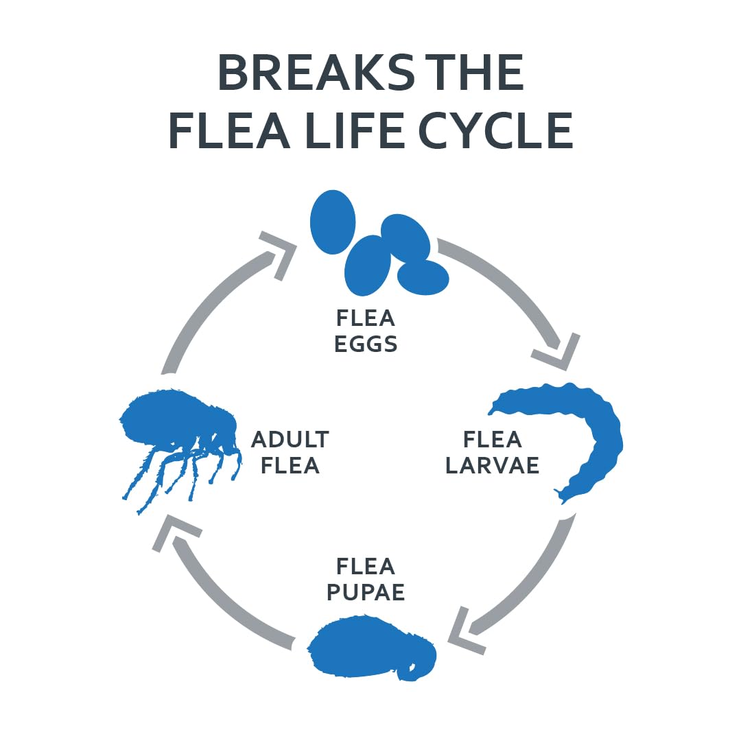 SENTRY Fiproguard Plus Flea and Tick Topical for Cats, 1.5 lbs and Over, 6 Month Supply