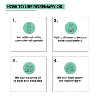 Rey Naturals Olive Oil, Castor Oil & Rosemary Oil For Hair Growth, Smooth ends & Hairfall Control -200ml*2 + 15ml | Cold Pressed Oil For Skin & Hair Care, Shiny Smooth Hair & Dandruff Free Scalp