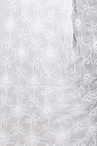 AKSHAR LLC Women's  Designer Pure Chiffon Dupatta with Pure Cotton Thread Embroidery Work