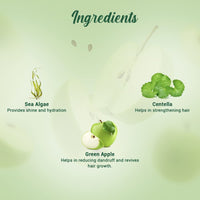 Biotique Bio Fruit Whitening/Brightening Lip Balm, 12g & Biotique Green Apple Shine & Gloss Shampoo & Conditioner For Glossy Healthy Hair, 190 ml