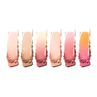 SHOPAAREL Blusher Powder