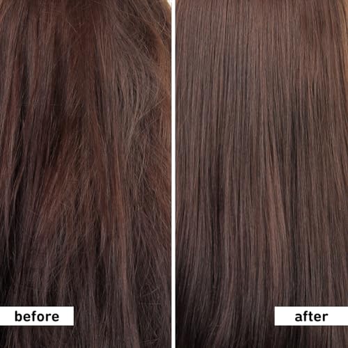 Plum Coconut Shampoo for Dull with Coconut Milk and Peptides for Soft & Silky I 22x Softer I Shampoo for Women and Men | 500 ml (Pack of 2)