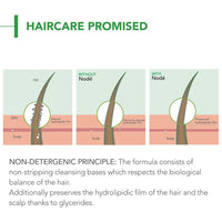 Bioderma Node Shampooing - Cleanses, Respects and Protects | Daily Use Gentle Clarifying Water-Based Shampoo | SLS Free, 400ml