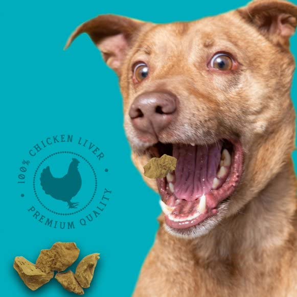 Stewart Freeze Dried Dog Treats, Chicken Liver, Grain Free & Gluten Free, 3 Ounce Resealable Tub, Single Ingredient, Made in USA, Dog Training Treats