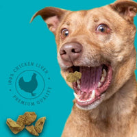 Stewart Freeze Dried Dog Treats, Chicken Liver, Grain Free & Gluten Free, 3 Ounce Resealable Tub, Single Ingredient, Made in USA, Dog Training Treats