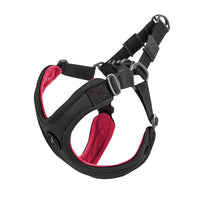 Gooby Escape Free Sport Harness - Black, Small - No Choke Step-in Patented Neoprene Small Dog Harness with Four-Point Adjustment - Perfect on The Go Dog Harness for Medium Dogs No Pull and Small Dogs Small chest (12.5-18.75