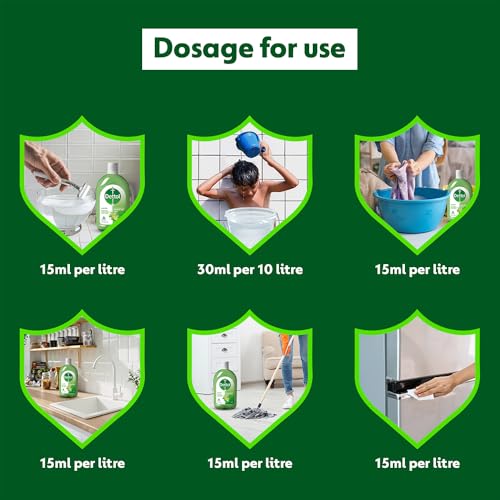 Dettol Liquid Lime Fresh, 550ml - Pack of 2