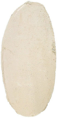 Penn-Plax Bird-Life Natural E Cuttlebone 6 Pack  Enriched with Omega 3 and Vitamin B1  Great for All Birds