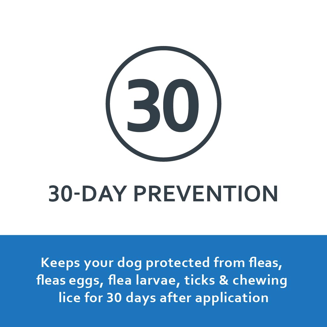 Fiproguard Flea & Tick Squeeze-On for Dogs Upto 22 lbs, 6-PACK Up to 22-Pound 6-Month