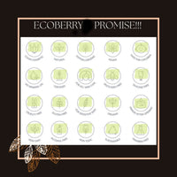 Organic Tinted Moisturizer | Everyday No Makeup Look | Sheer Coverage | Organic | Semi-Matte | Light Weight | Non-Comedogenic | Hypoallergenic | Natural | Handmade | Chemical Free (Light)