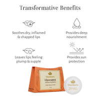 Shankara Gheesutrā Saffron Lip Butter, Ayurvedic Lip Balm for Soothing Dry, Inflamed, and Chapped Lips - Nourishment, Moisturizing, and Hydration up to 12 Hours - (Pack of 1) - 3ml