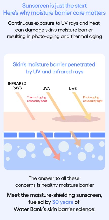 LANEIGE UV Barrier Sunscreen SPF 50+ | Moisture Based Barrier Strengthening | Light & Non-Greasy | No White Cast | Soothing Hydration | Suitable for All Skin | For Men & Women-20ml