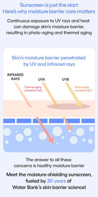 LANEIGE UV Barrier Sunscreen SPF 50+ | Moisture Based Barrier Strengthening | Light & Non-Greasy | No White Cast | Soothing Hydration | Suitable for All Skin | For Men & Women-20ml