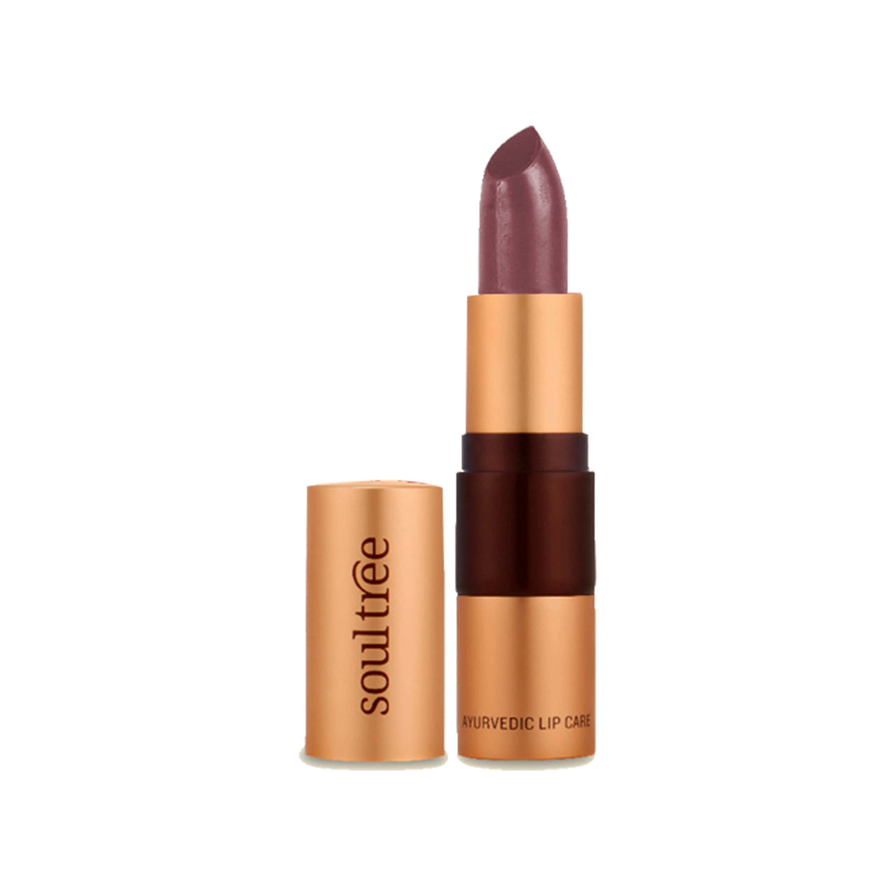SoulTree Ayurvedic Lipstick - Colour Cocoa Rich 906, 4gm | Creamy Texture | Enriched with Organic Ghee & Almond Oil | Moistured & Nourished Lips | 4gm
