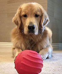 Jolly Pets Tuff Tosser Bouncing Ball Tog Toy/Treat Holder, 4 Inches, Red, All Breed Sizes Red 4