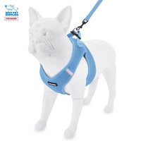 Voyager Step-in Air Cat Harness - All Weather Mesh Step in Vest Harness for Small and Medium Cats by Best Pet Supplies - Set (Baby Blue), XXS