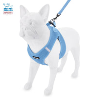 Voyager Step-in Air All Weather Mesh Harness and Reflective Dog 5 ft Leash Combo with Neoprene Handle, for Small, Medium and Large Breed Puppies by Best Pet Supplies - Set (Baby Blue), S Harness Leash Set (Baby Blue) S (Chest: 14.5 - 16