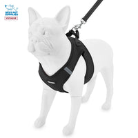 Voyager Step-in Air All Weather Mesh Harness and Reflective Dog 5 ft Leash Combo with Neoprene Handle, for Small, Medium and Large Breed Puppies by Best Pet Supplies - Set (Black), M Harness Leash Set (Black) M (Chest: 16 - 18