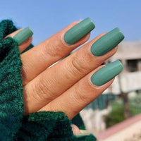 DeBelle Gel Nail Lacquer Asparagus Fern (Sea Green) 8ml Enriched With Natural Seaweed Extract, Cruelty Free, Toxic Free (Glossy Finish)