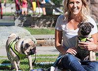 RC Pet Products Step in Cirque Soft Walking Dog Harness, Large, Black