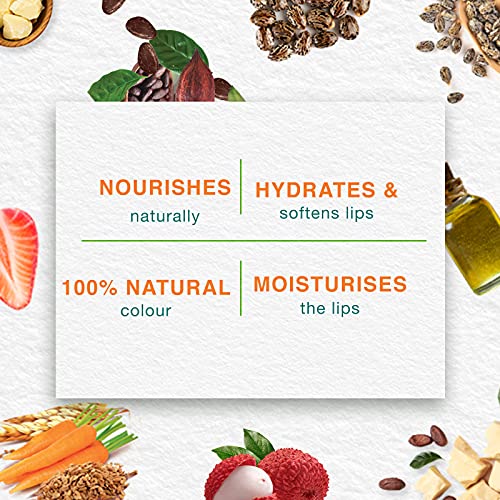 Himalaya Lip Balm, 10 Grams, 1 Count, Blue