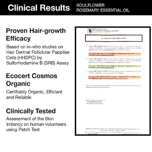 Soulflower Rosemary Essential Oil for Hair Growth, Hair Fall Control & Nourishment, Skin Care | 100% Pure, Natural, Undiluted Clinically Tested & Ecocert Organic Certified | 15ml each (Pack of 3)