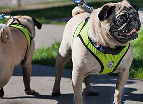 RC Pet Products Step in Cirque Soft Walking Dog Harness, XX-Large, Black XXLarge