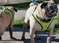 RC Pet Products Step in Cirque Soft Walking Dog Harness, XX-Large, Black XXLarge