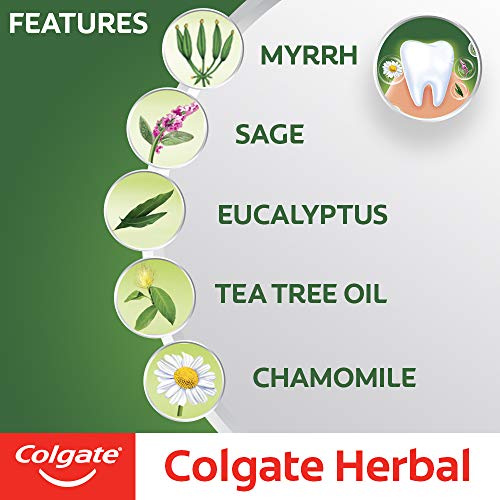Colgate Herbal Oral Care Toothpaste, Goodness of Natural Ingredients for Healthy Teeth, 200g