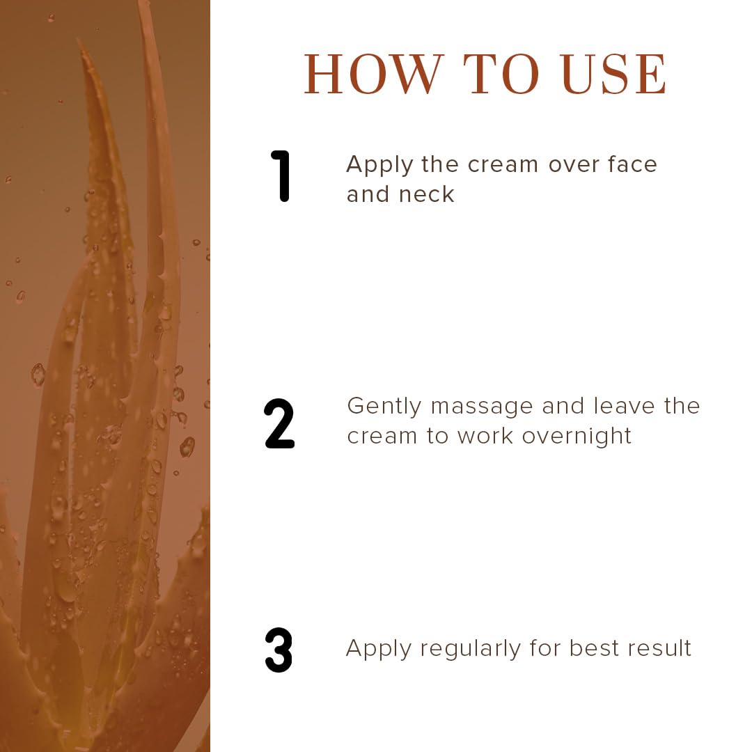 Khadi Natural Night Cream, 50g| Prevents premature aging|Skin brightening properties|Removes dead skin cells| Suitable for All Types of Skin