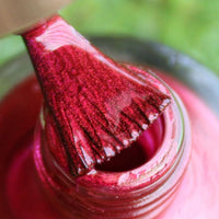 DeBelle Gel Nail Polish Antares (Deep Maroon Pearl Finish Nail Paint)|Non UV - Gel Finish |Chip Resistant | Seaweed Enriched Formula| Long Lasting|Cruelty and Toxic Free| 8ml