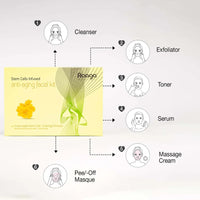 Raaga Professional Stem Cells Infused Anti Aging 6 Step Facial Kit | Evening Primrose, Swiss Apple Stem Cells | Youthful Radiance | All Skin Types (61 gm)