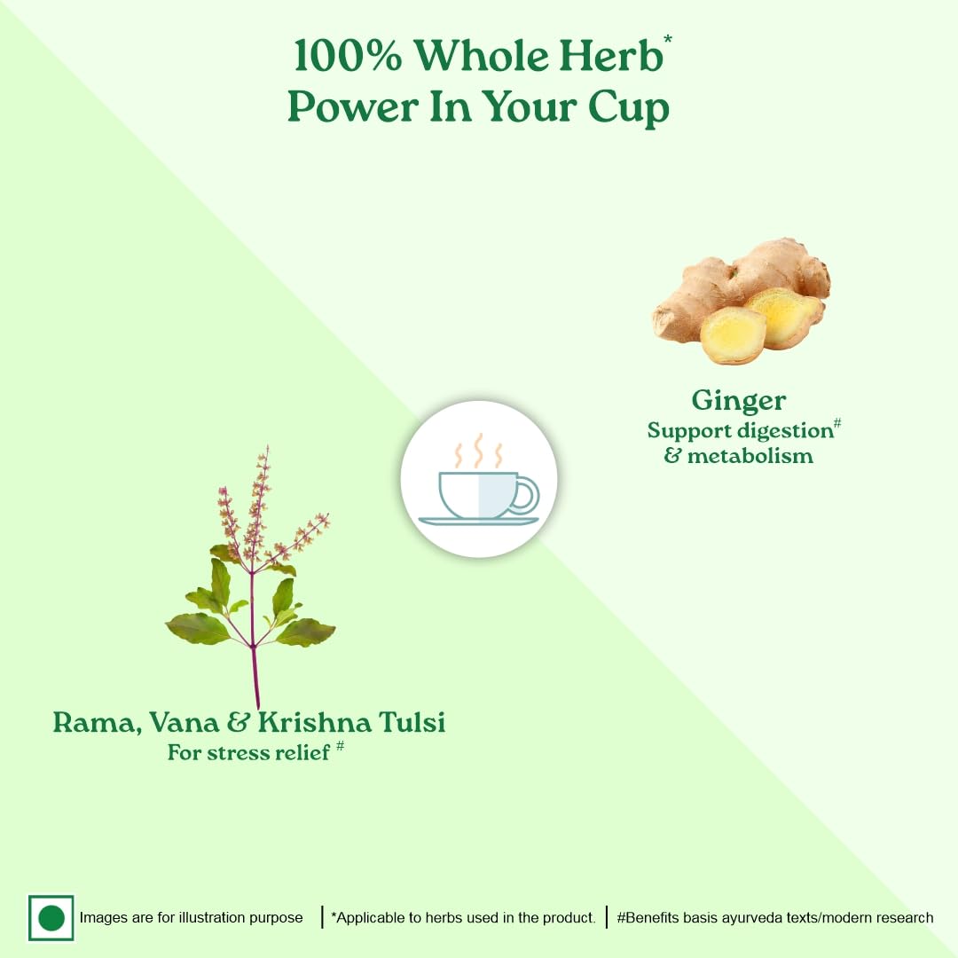 A TATA Product - Organic India Tulsi Ginger - 25 Tea Bags, Rich in Antioxidants, Supports Digestion, Stress Relieving, Helps Boost Metabolism, Caffeine-Free, Whole Herbs Certified Organic