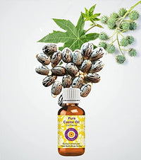 Deve Herbes Pure Castor Oil (Ricinus communis) with Glass Dropper Natural Therapeutic Grade Cold Pressed 100ml