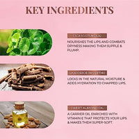 Just Herbs Ayurvedic Liquid Lipstick Kit Set of 5 with Long Lasting, Hydrating & Lightweight Lip Colour, Nudes & Browns - Paraben & Silicon Free - 5 ml