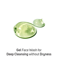 Vegetal Tea Tree Face Wash- Made of 100% natural extracts of Green Tea, Neem, Manjistha, & Khajoor- Anti Acne, Oil control, Free of Parabens, SLES & Harmful Chemicals