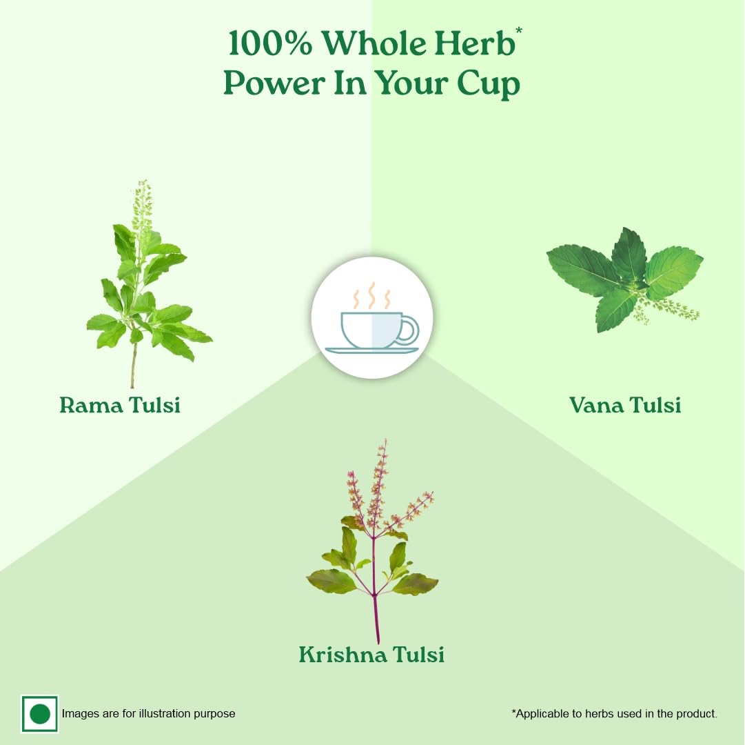 A TATA Product - Organic India Tulsi Green Tea Classic - 25 Tea Bags, Uplifts Mood, Rich in Antioxidants, Blend of Rama, Krishna & Vana Tulsi, Certified Organic