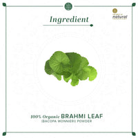 KHADI NATURAL Brahmi Leaf Organic Powder Pack of 2 (2x100gm) 200gm