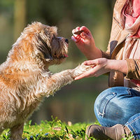 Good'n'Fun Triple Flavor Wavy Chips Variety Pack, 10 oz, Treats for Dogs 10 Ounce (Pack of 1)