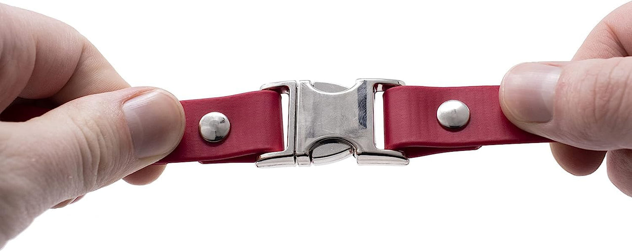 Educator Quick Snap Bungee Dog Collar, Biothane, Waterproof, Odorproof, Easy Connect and Disconnect Clasp and D Ring with Comfort Bungee Loop, Adjustable for Custom Fit, 1-Inch, Red 1" Wide Fits 800 and 1200 Series