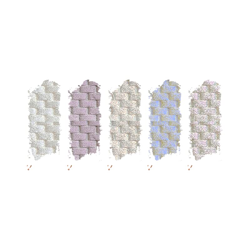 SHOPAAREL Sparkle 5 Color Eyeshadow (Twilight)